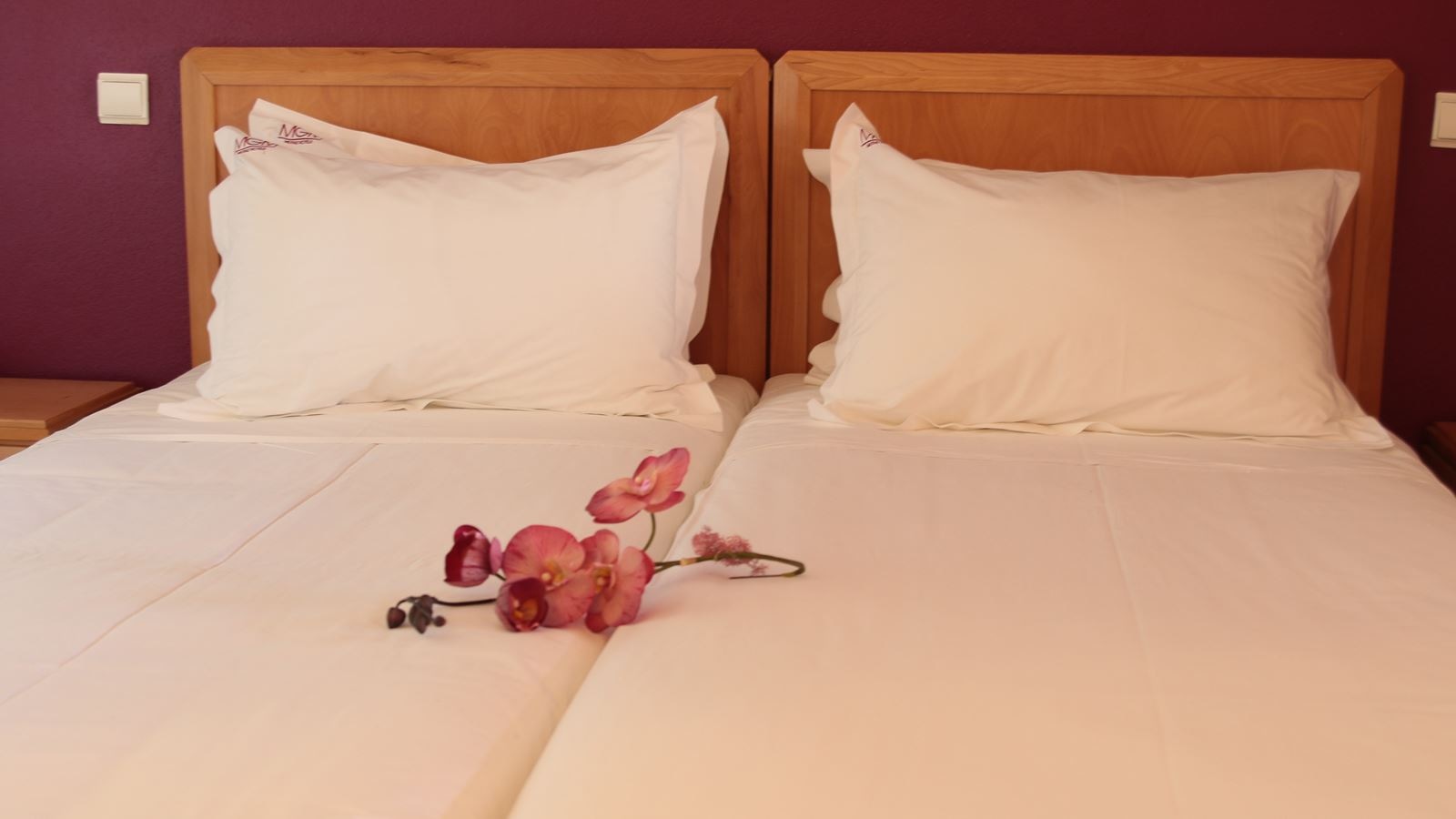 rooms-t1js-one-bedroom-junior-standard