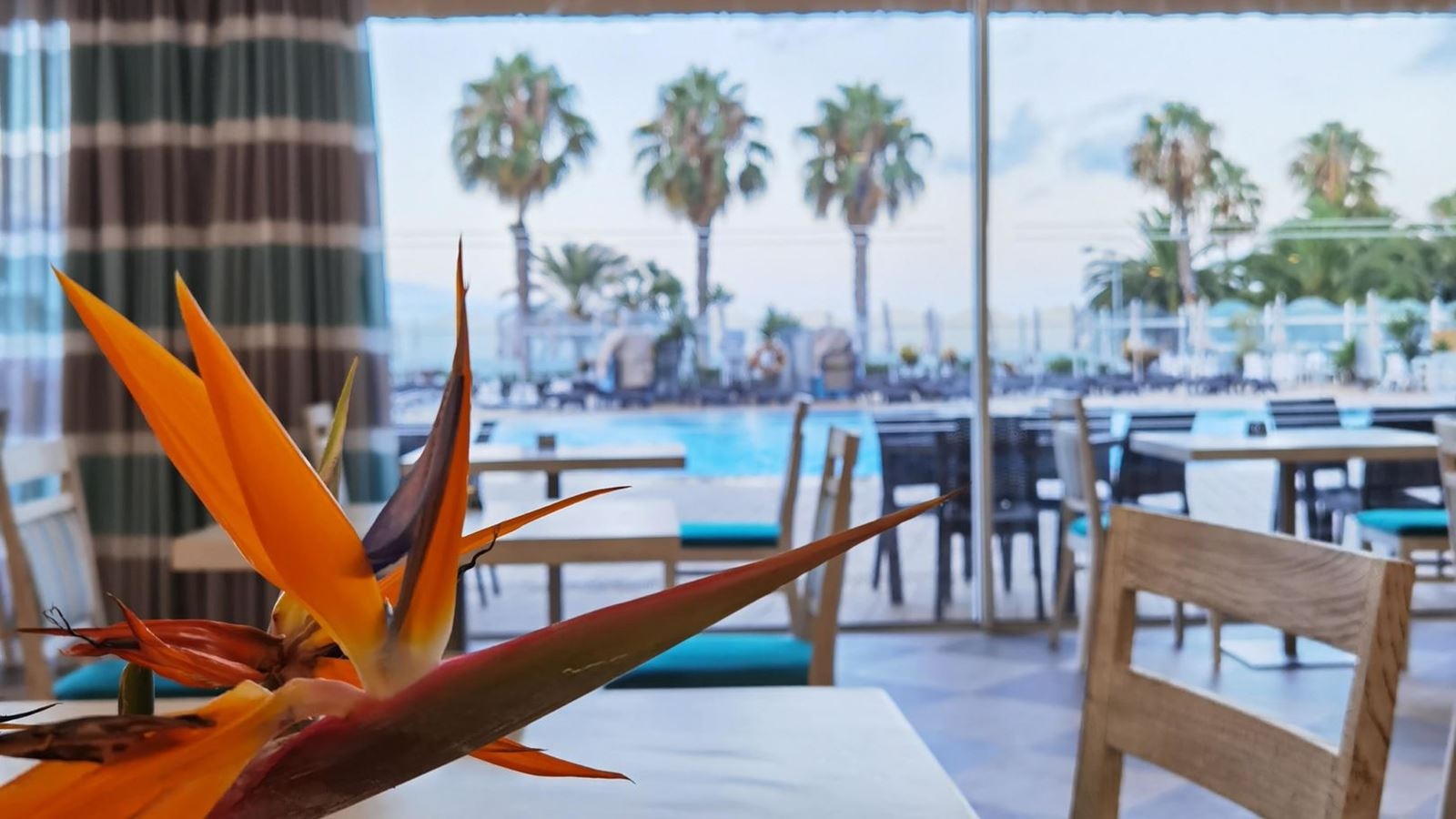 restaurants-aquamarina