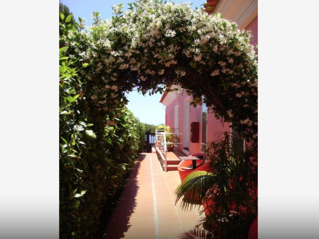 rooms-dj-double-garden-view