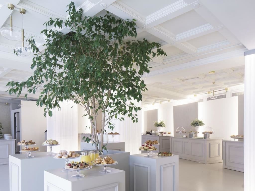 restaurants-restaurant