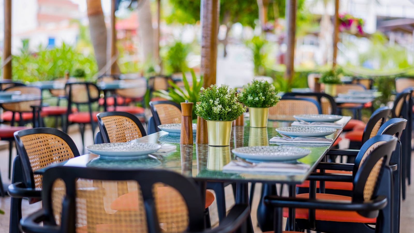 restaurants-à-la-carte-dinner