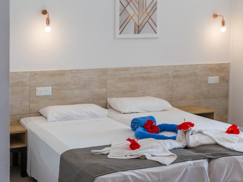 rooms-twin-standard-room-balcony-or-terrace