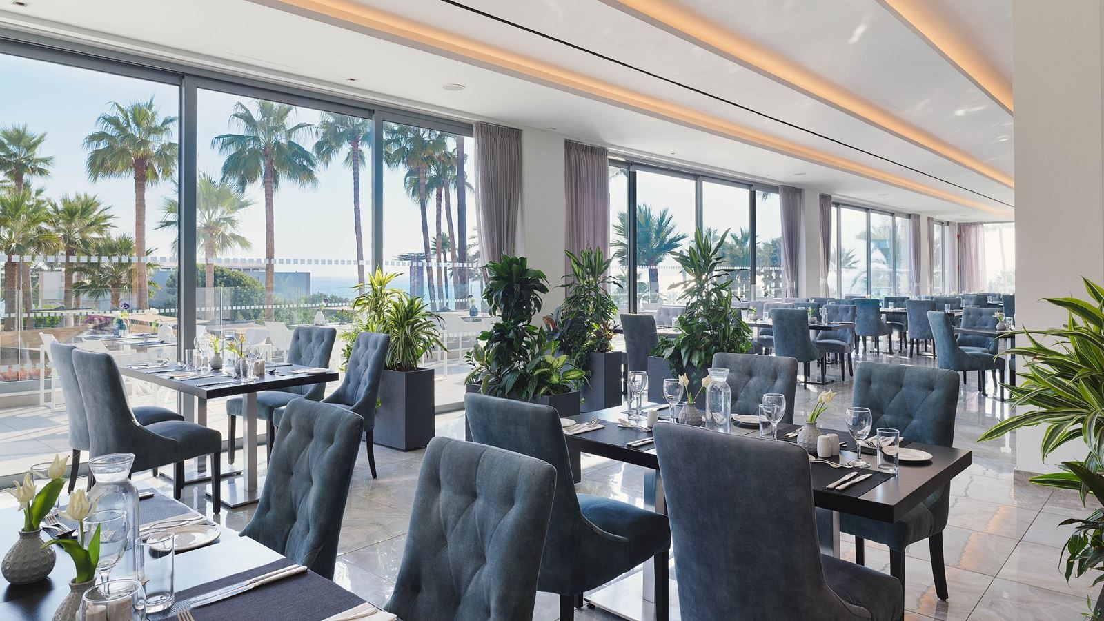 restaurants-thea-restaurant