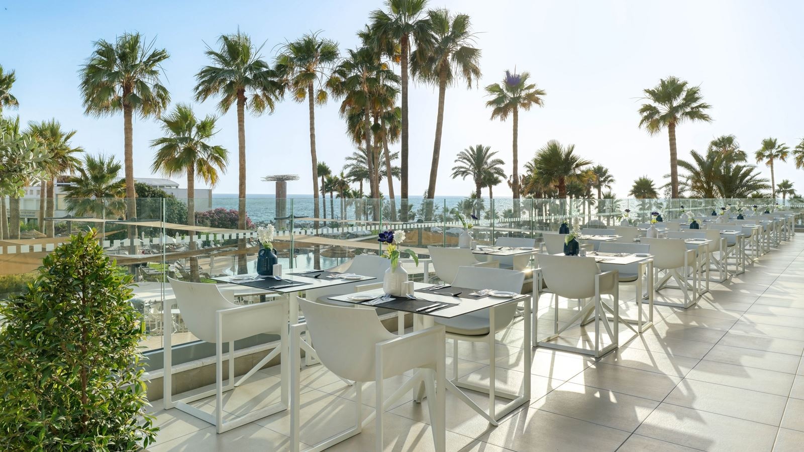 restaurants-thea-restaurant