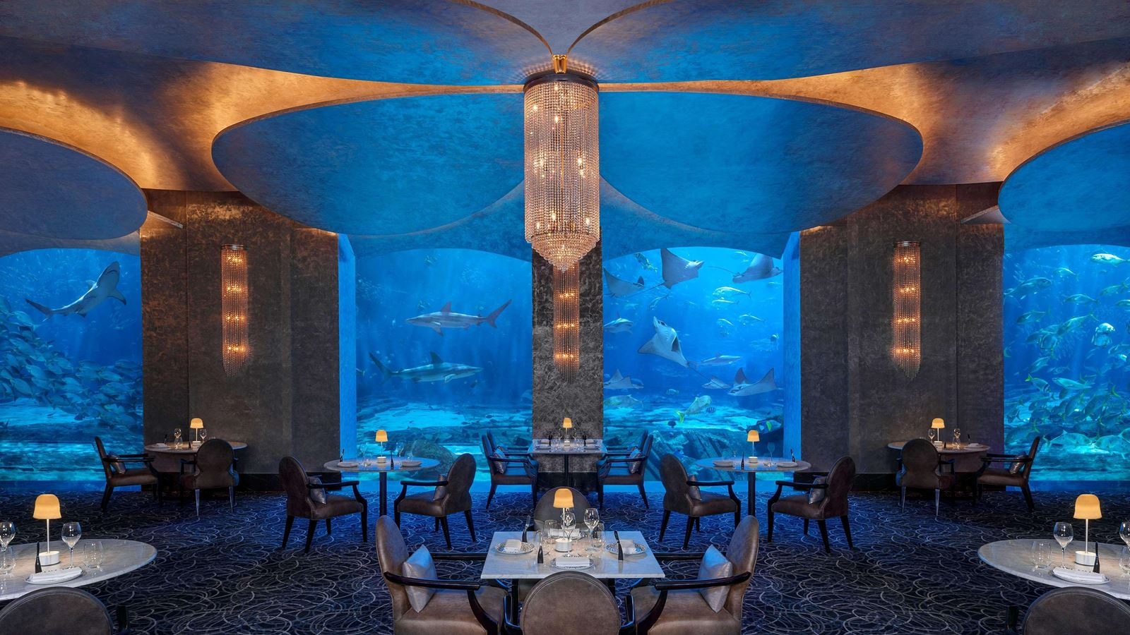 restaurants-restaurants