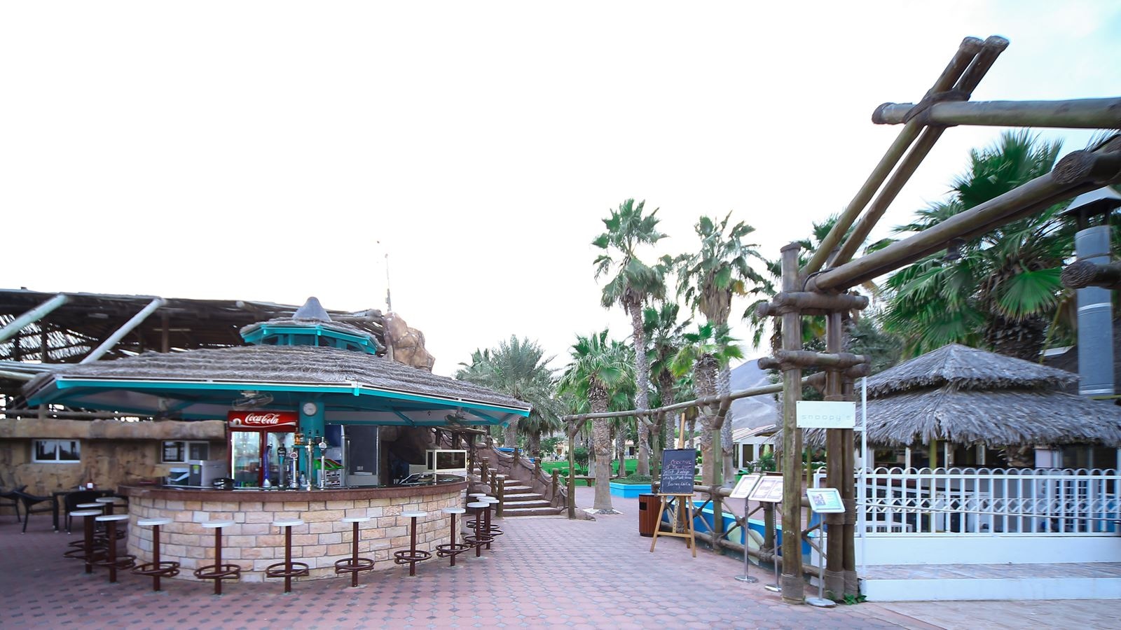 bars-snoopy-pool-bar-and-grill