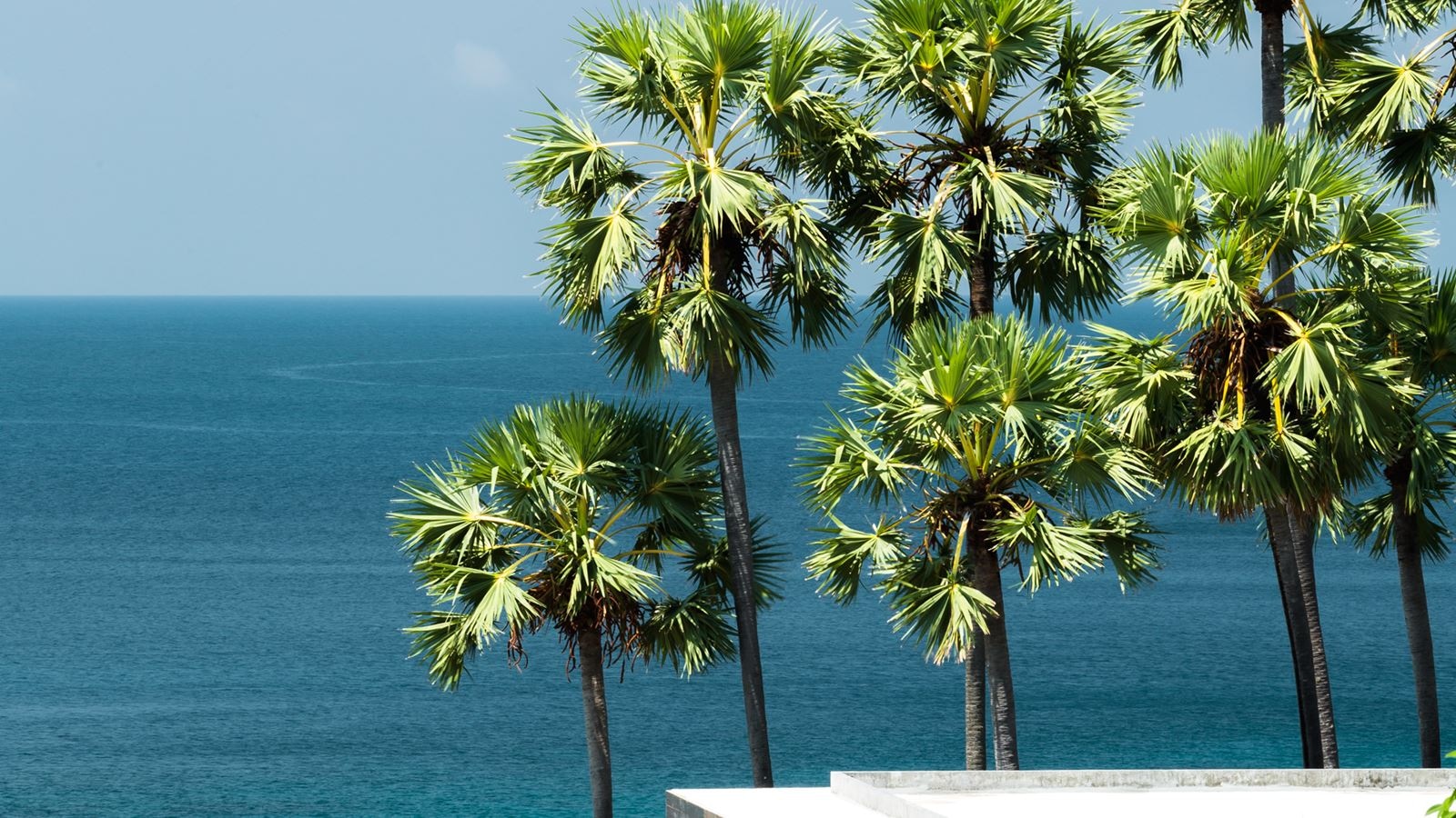 restaurants-the-wiwa-restaurant