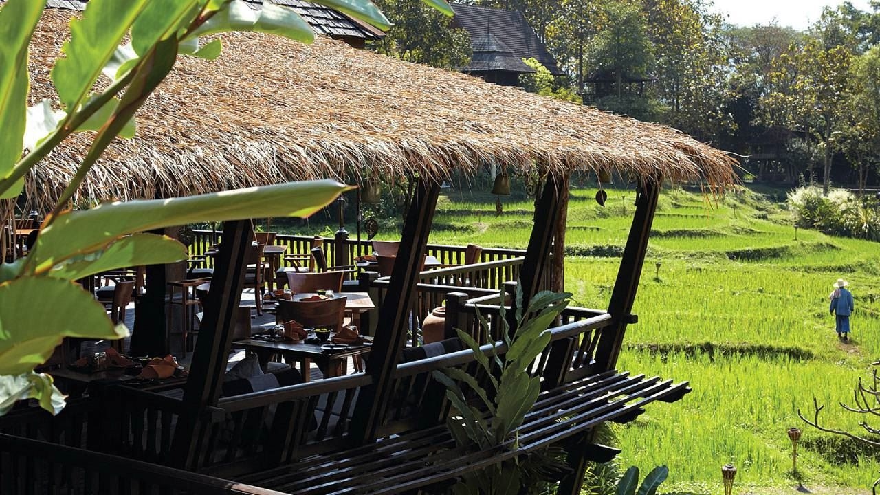 restaurants-terraces-restaurant