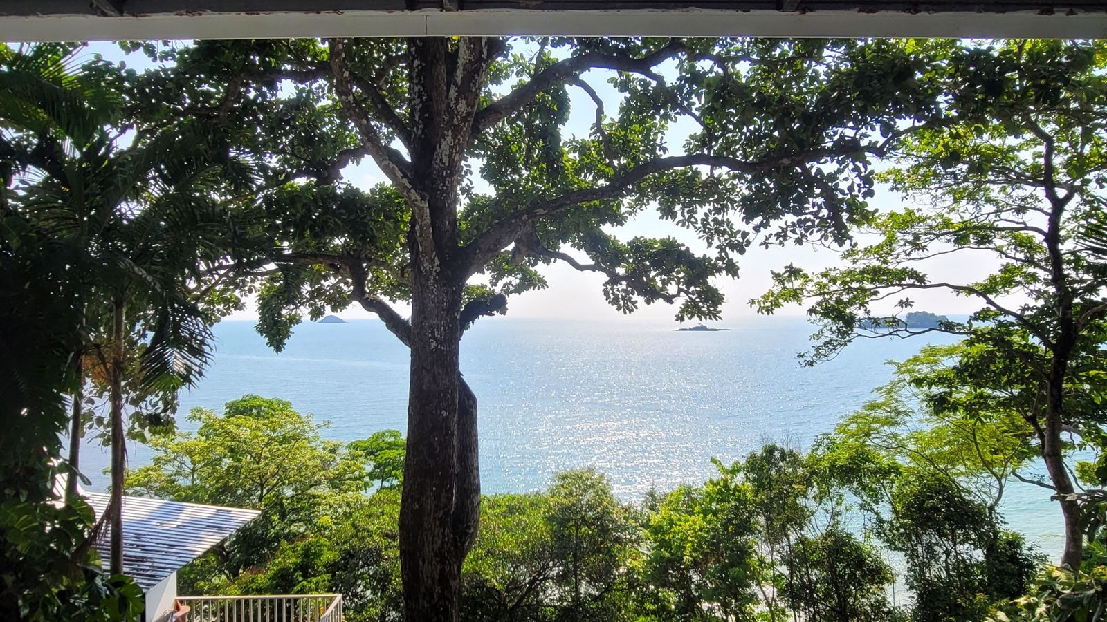 rooms-deluxe-suite-ocean-view