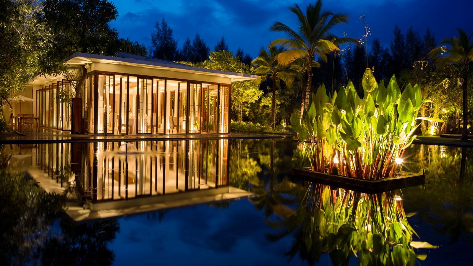 restaurants-ficus-restaurant