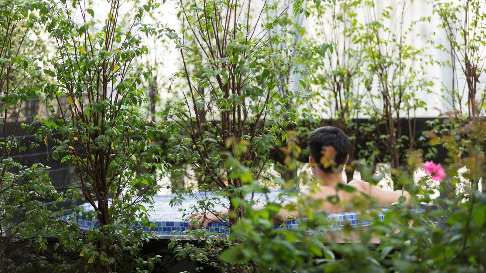 pools-outdoor--indoor-pool