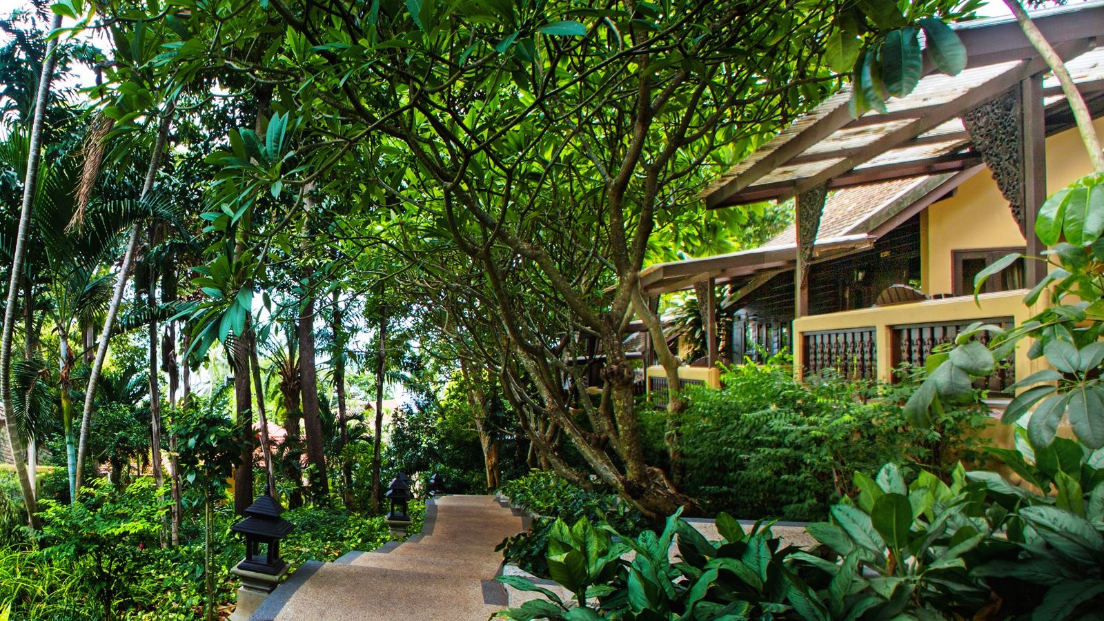 rooms-superior-bungalow