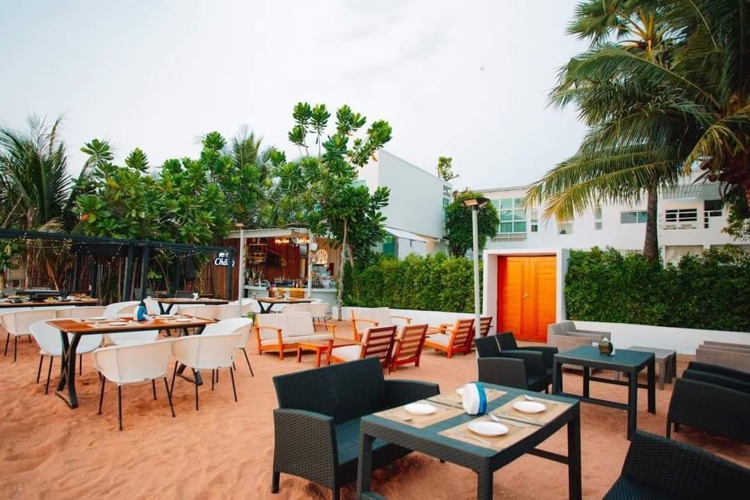 restaurants-the-bistro-beach-sea-bird