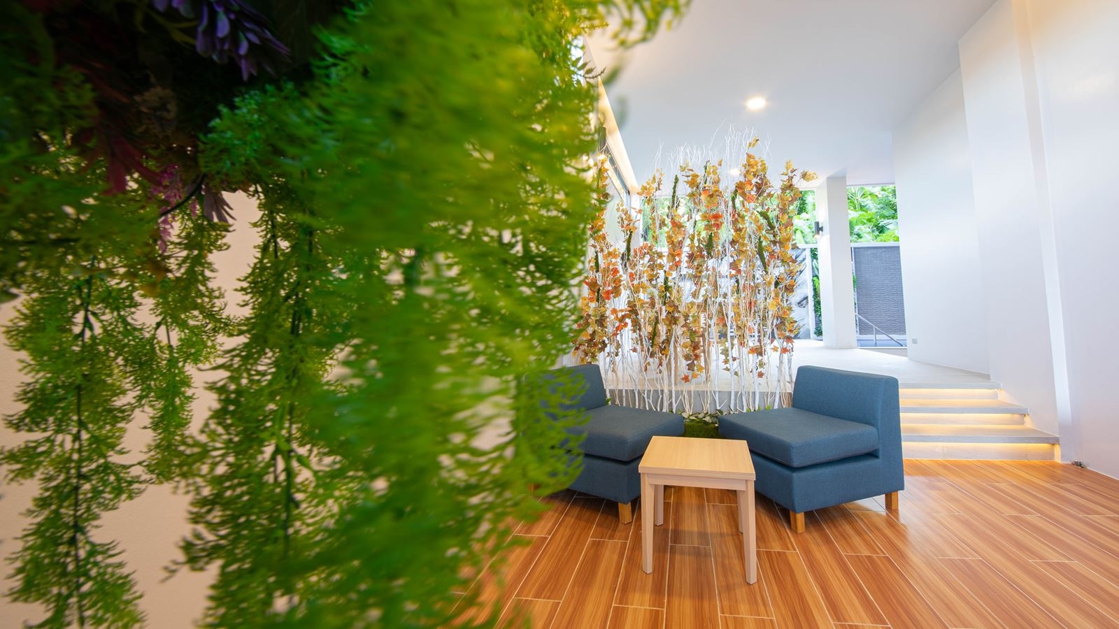 restaurants-paradise-dine