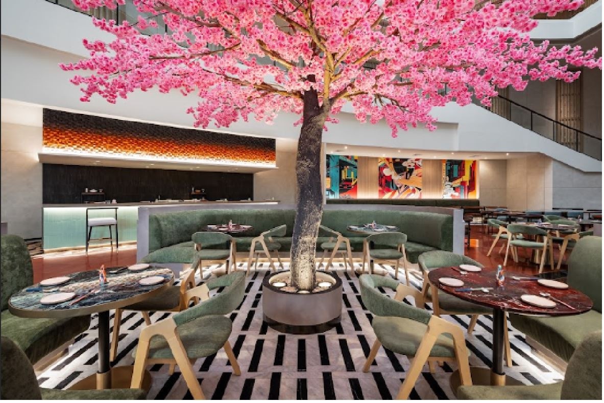 restaurants-bincho-izakaya