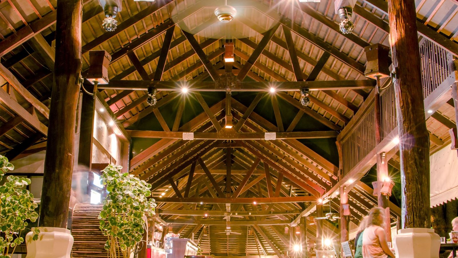 restaurants-the-terrace