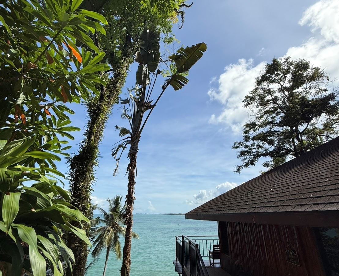 rooms-deluxe-pavilion