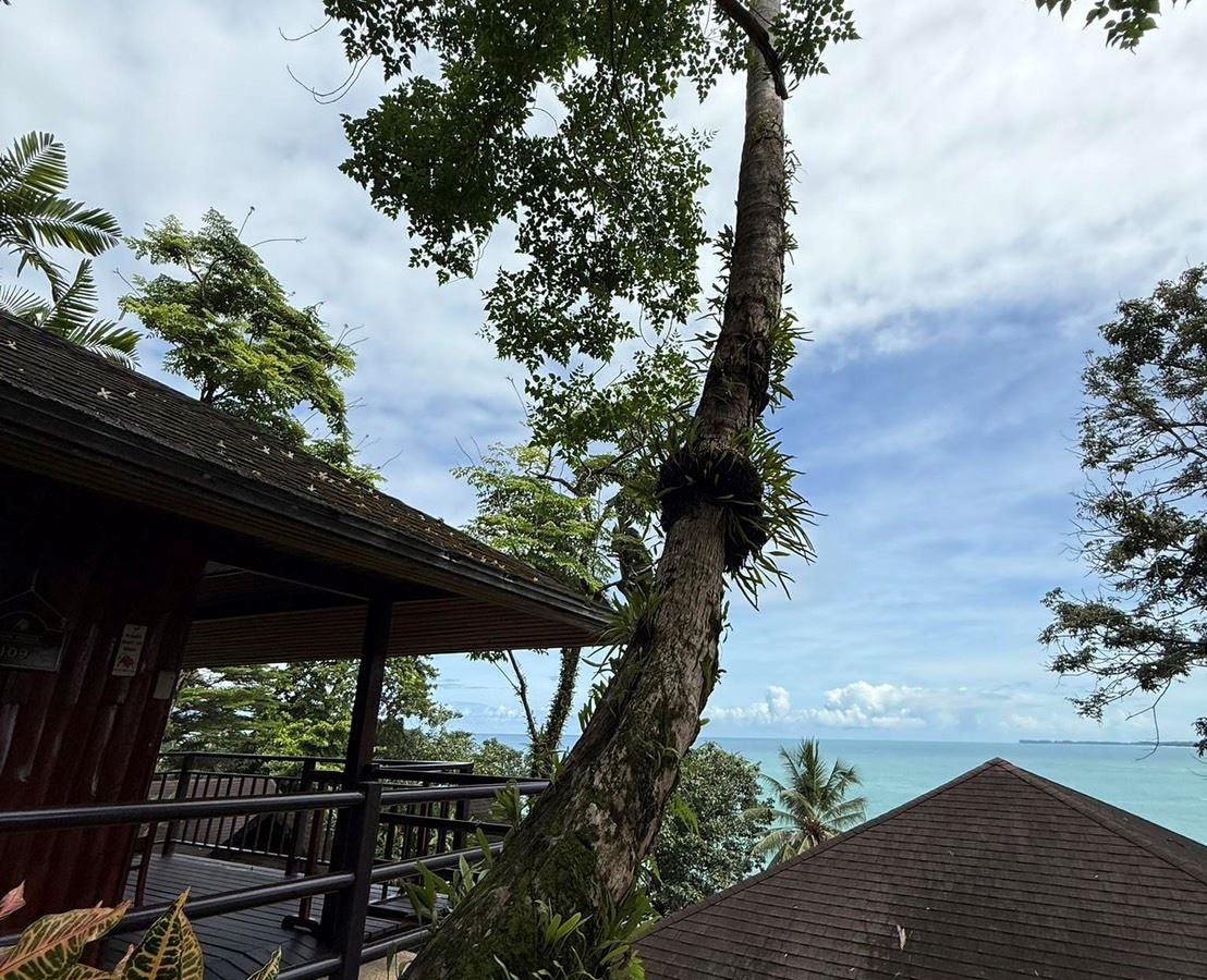 rooms-deluxe-seaview