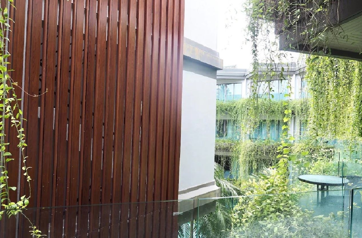 rooms-deluxe-tree-or-facade