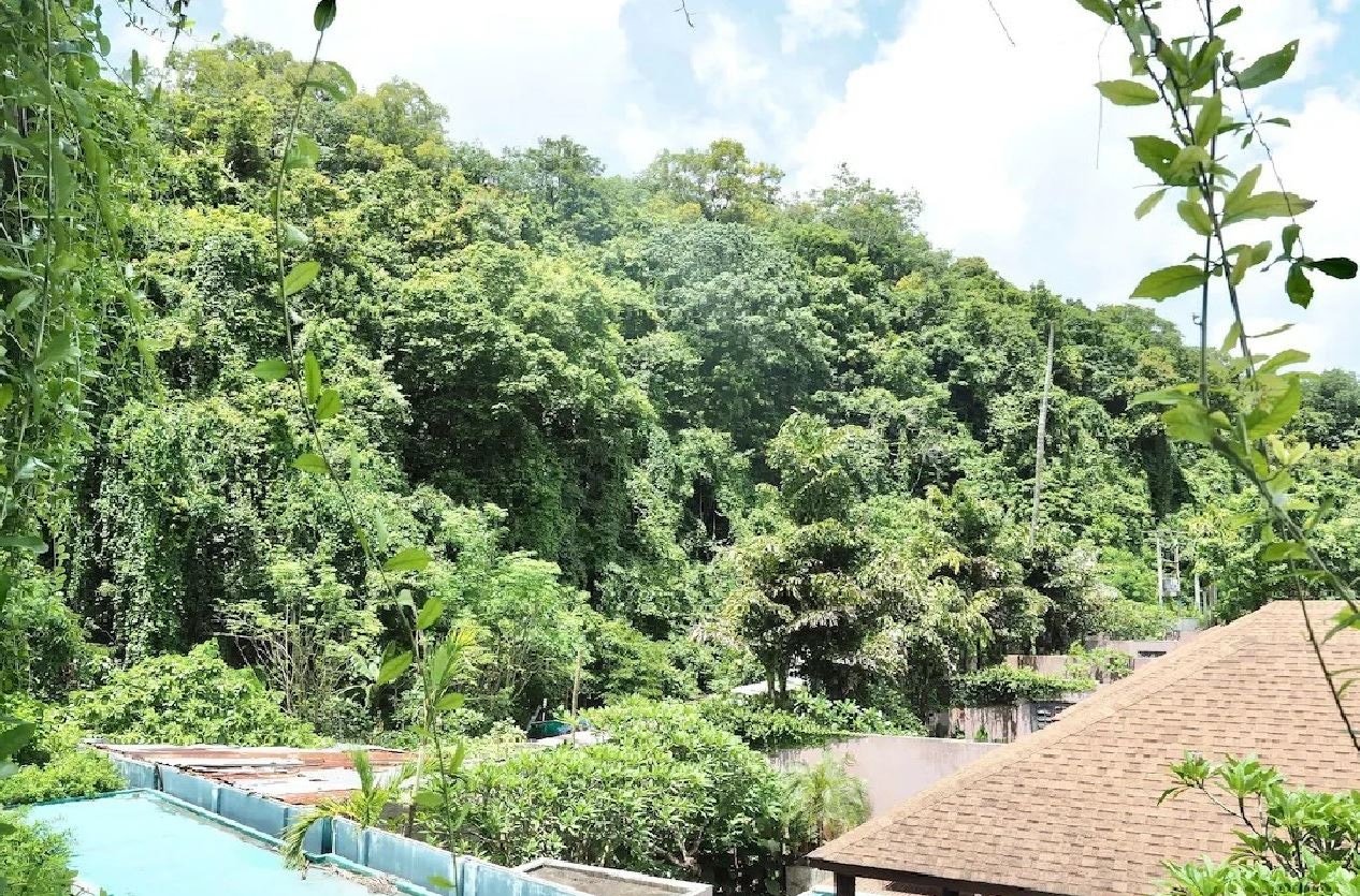 rooms-deluxe-tree-or-facade