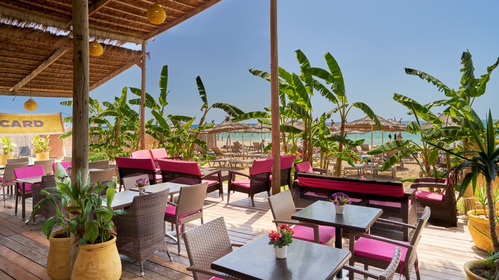 restaurants-restaurant-coco-beach