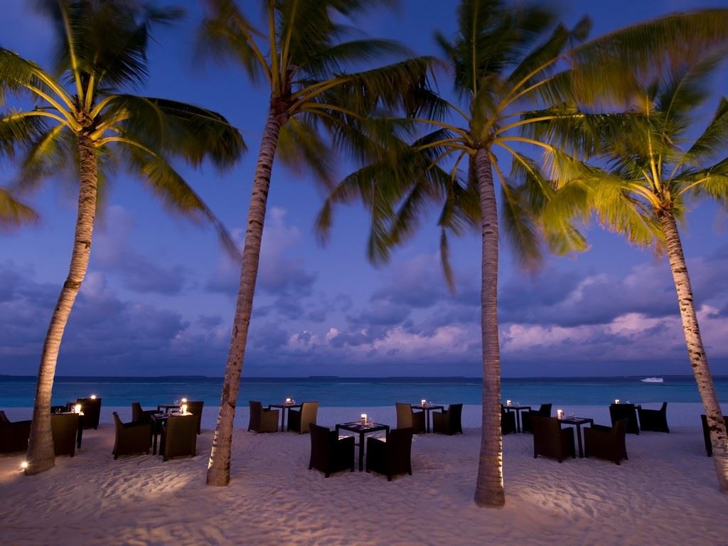 restaurants-ocean-grill