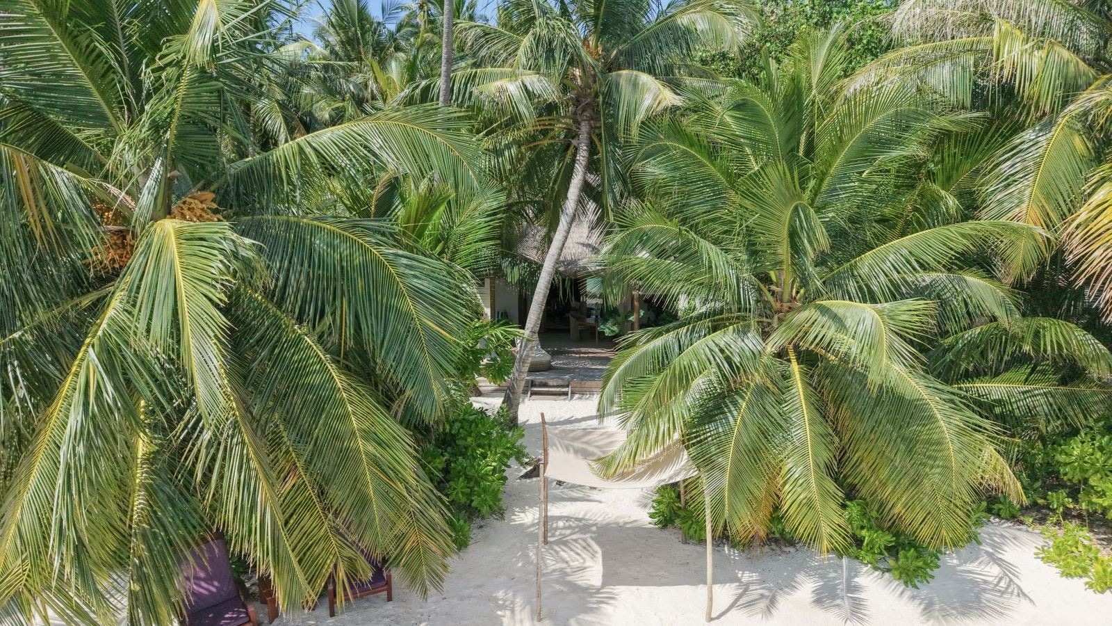 rooms-grand-premier-beach-villa-with-pool