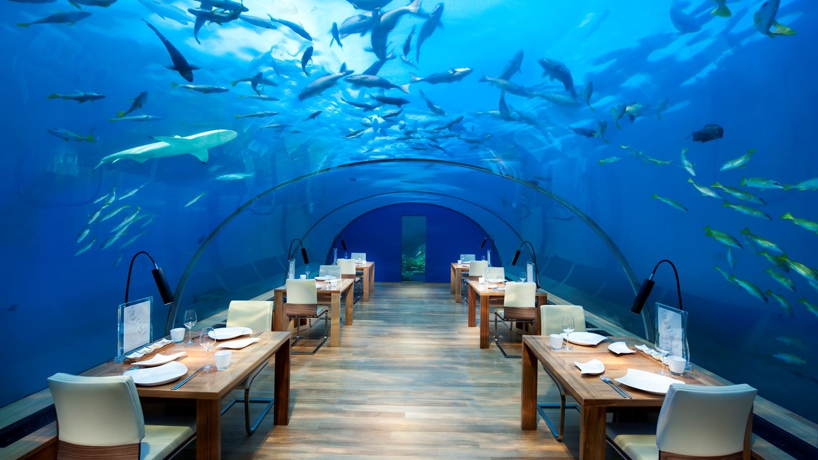 restaurants-ithaa-undersea-restaurant