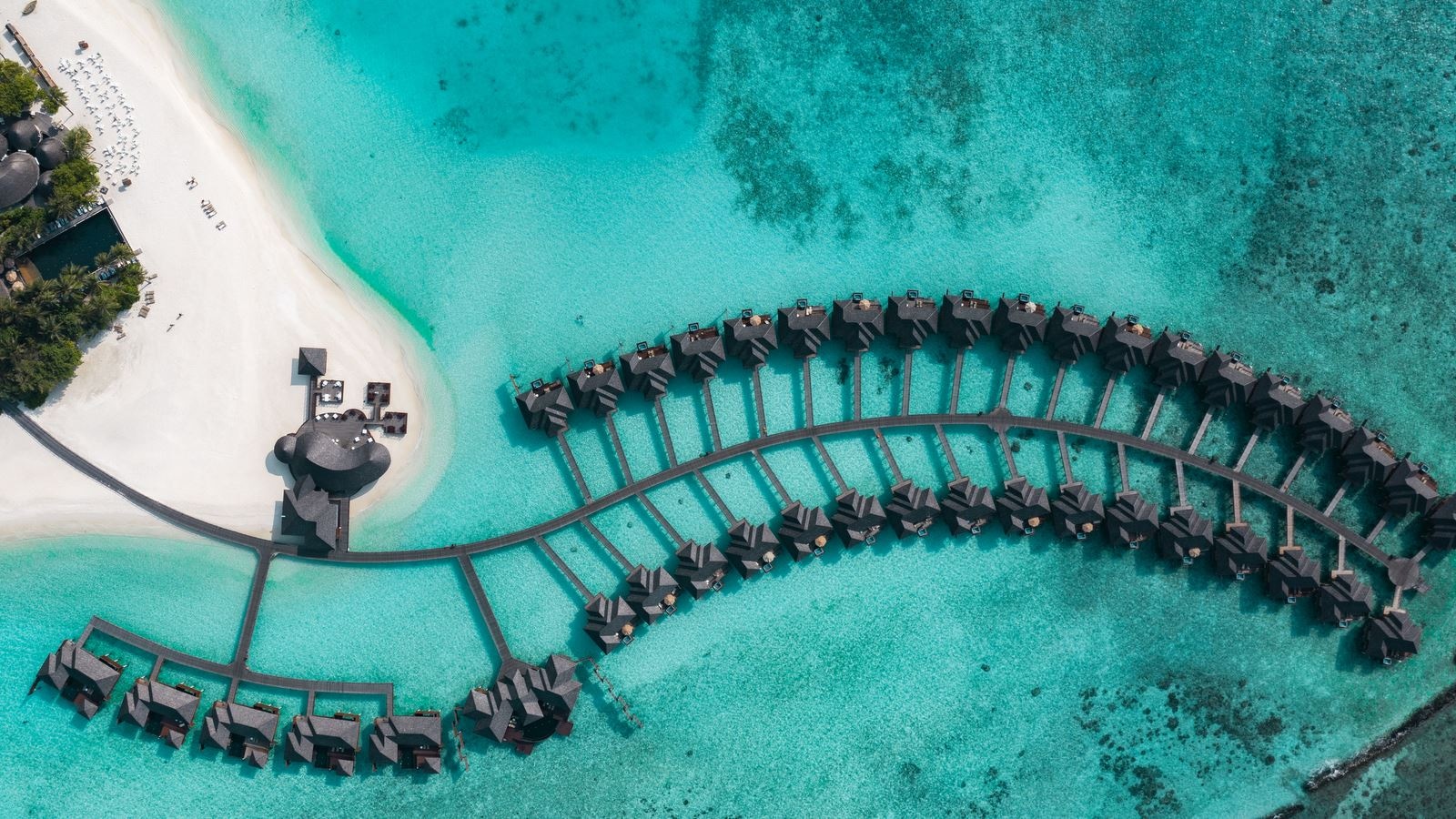 restaurants-the-trio