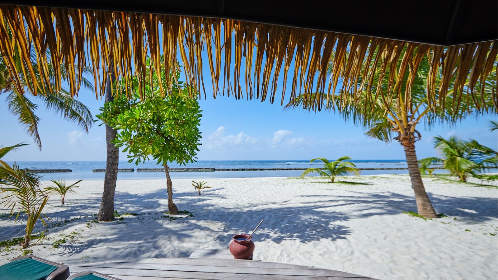 rooms-premium-beach-bungalow