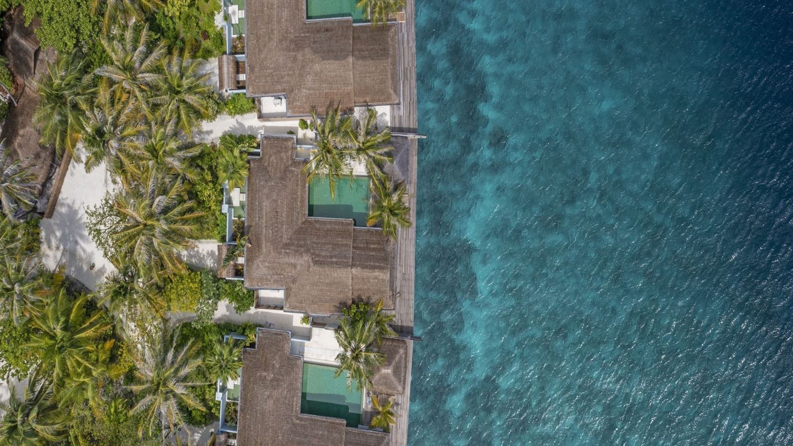 rooms-ocean-house-with-pool--private-beach-cabana