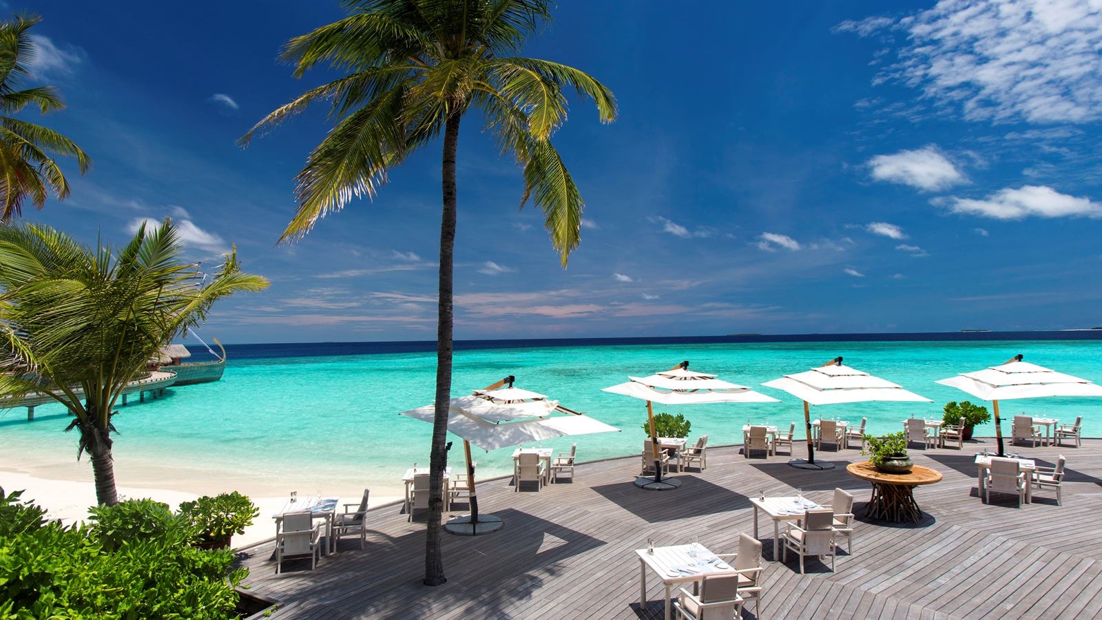 restaurants-ocean-restaurant