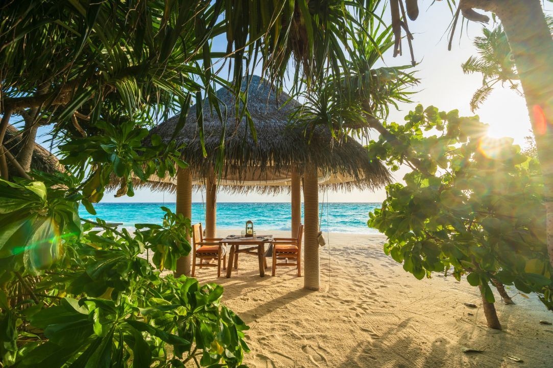 restaurants-shoreline-grill