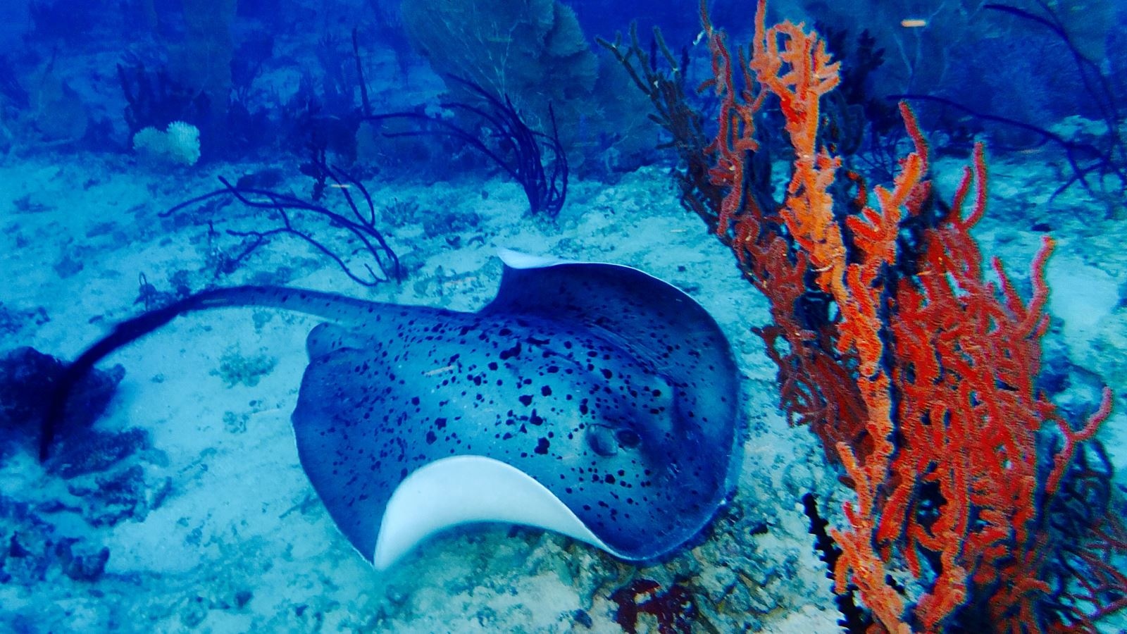 water-park-water-park