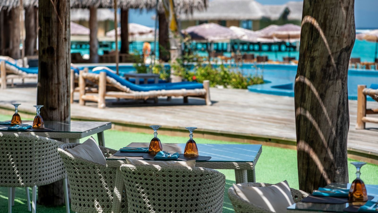 restaurants-green-carpet