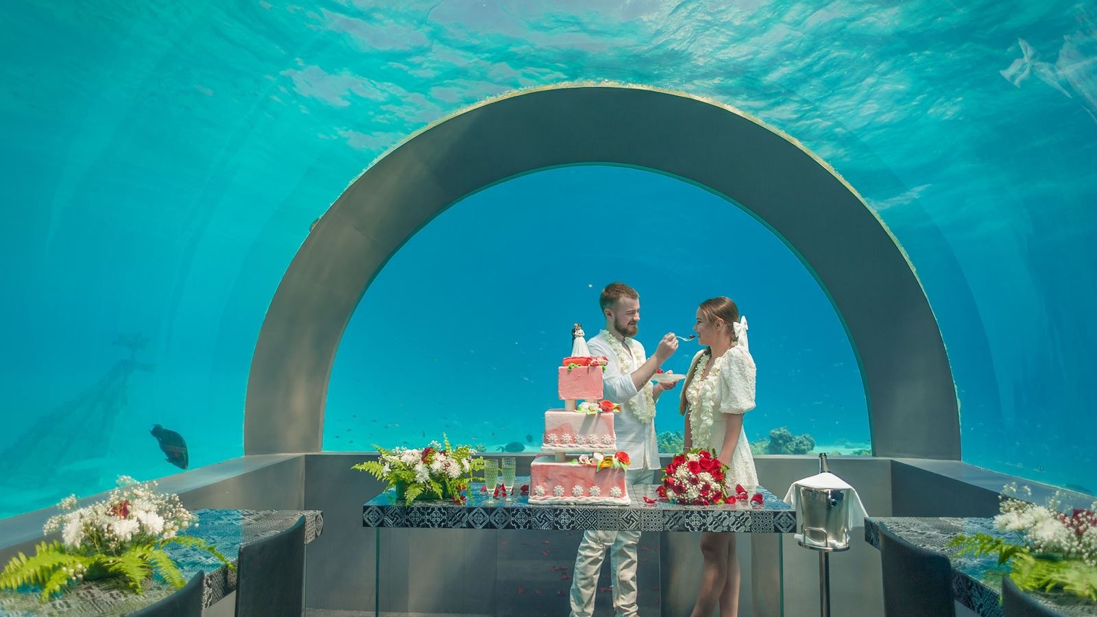 restaurants-h2o-underwater-restaurant