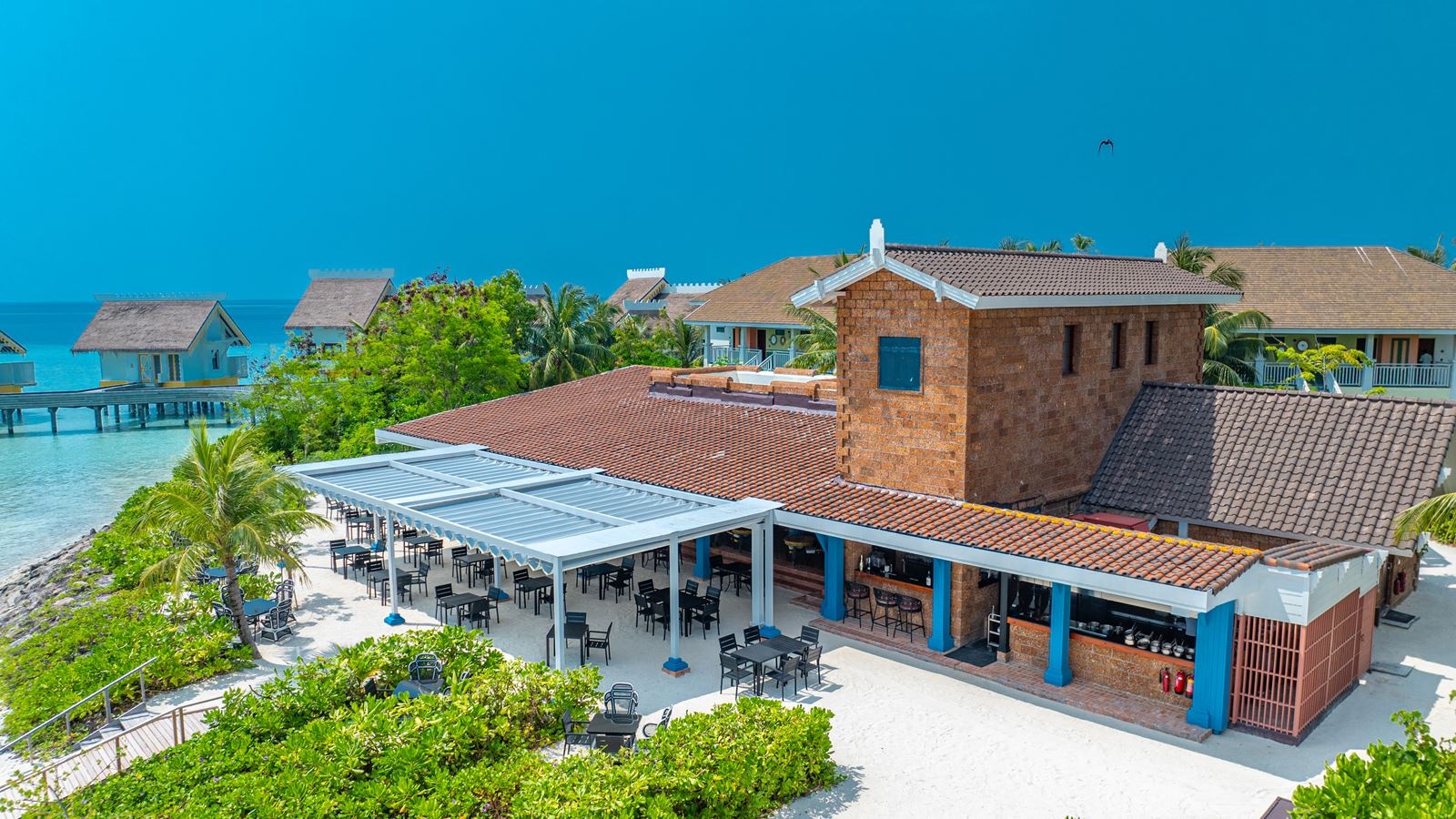 restaurants-miss-olive-oyl