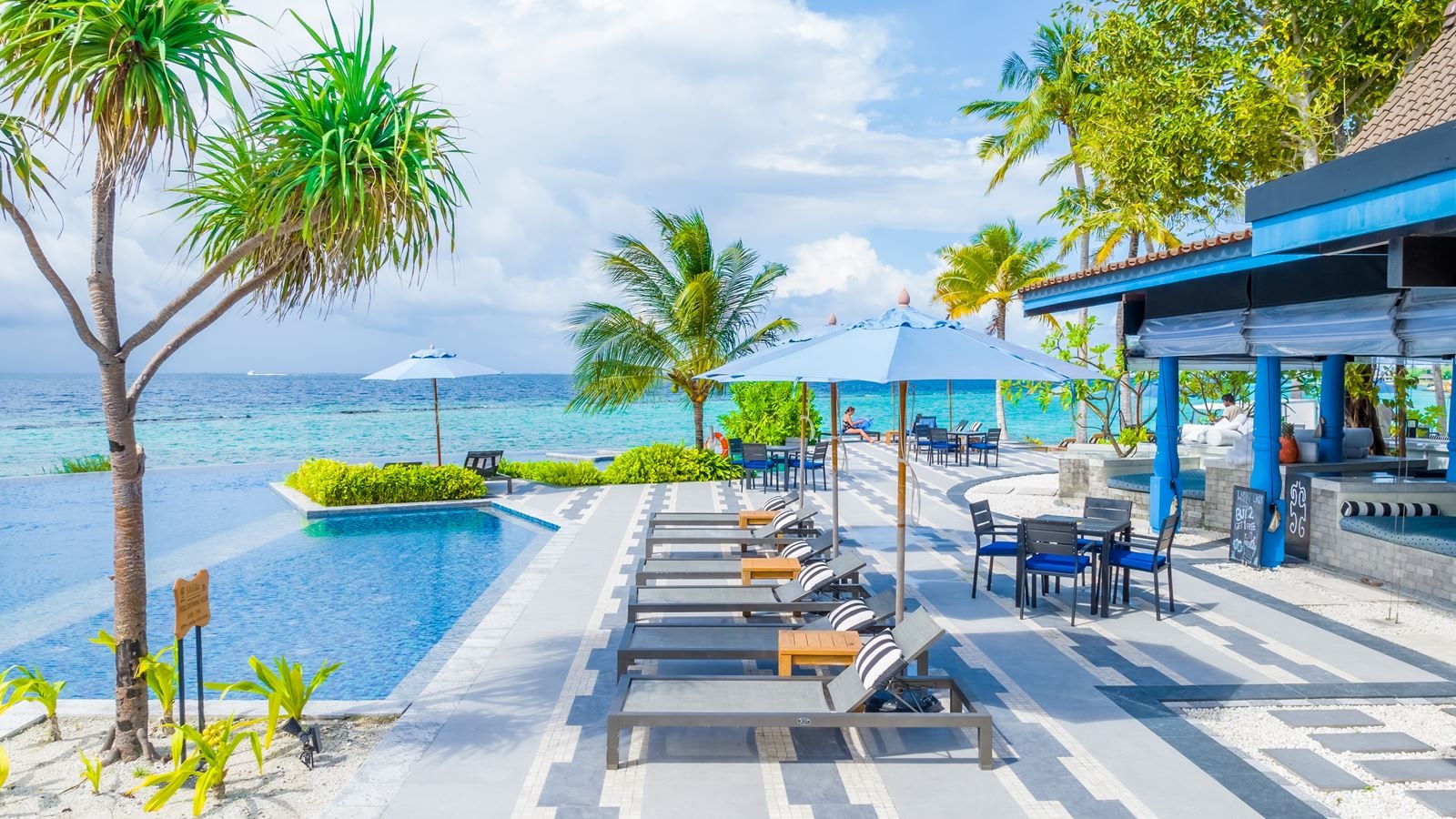 bars-miss-olive-oyl-pool-bar