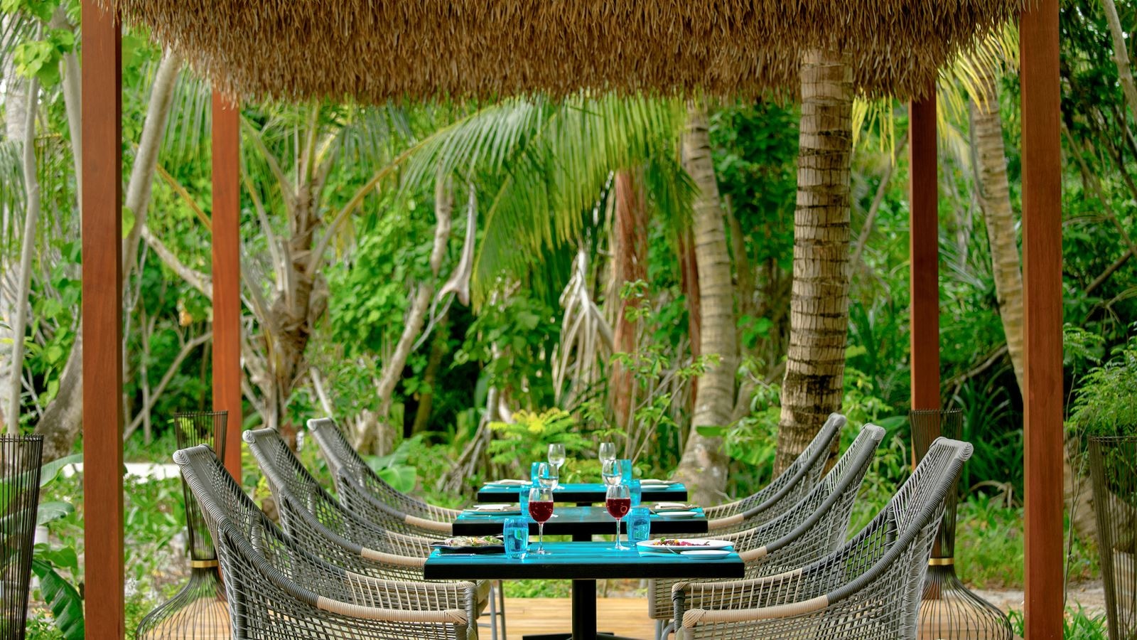 restaurants-phat-chameleon