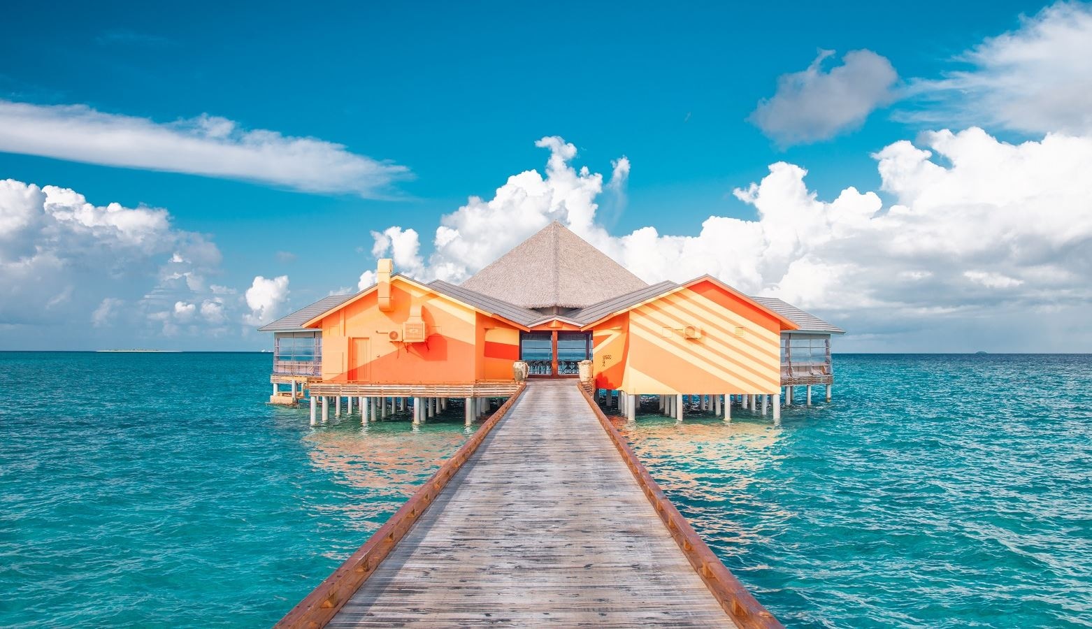 restaurants-beru-bar