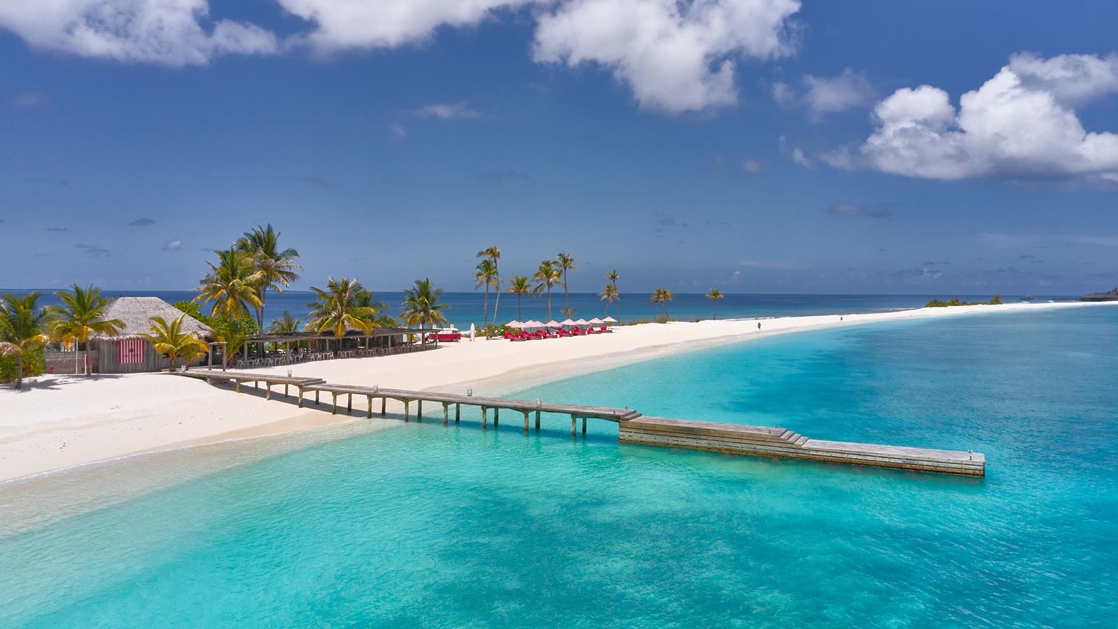 restaurants-crab-shack