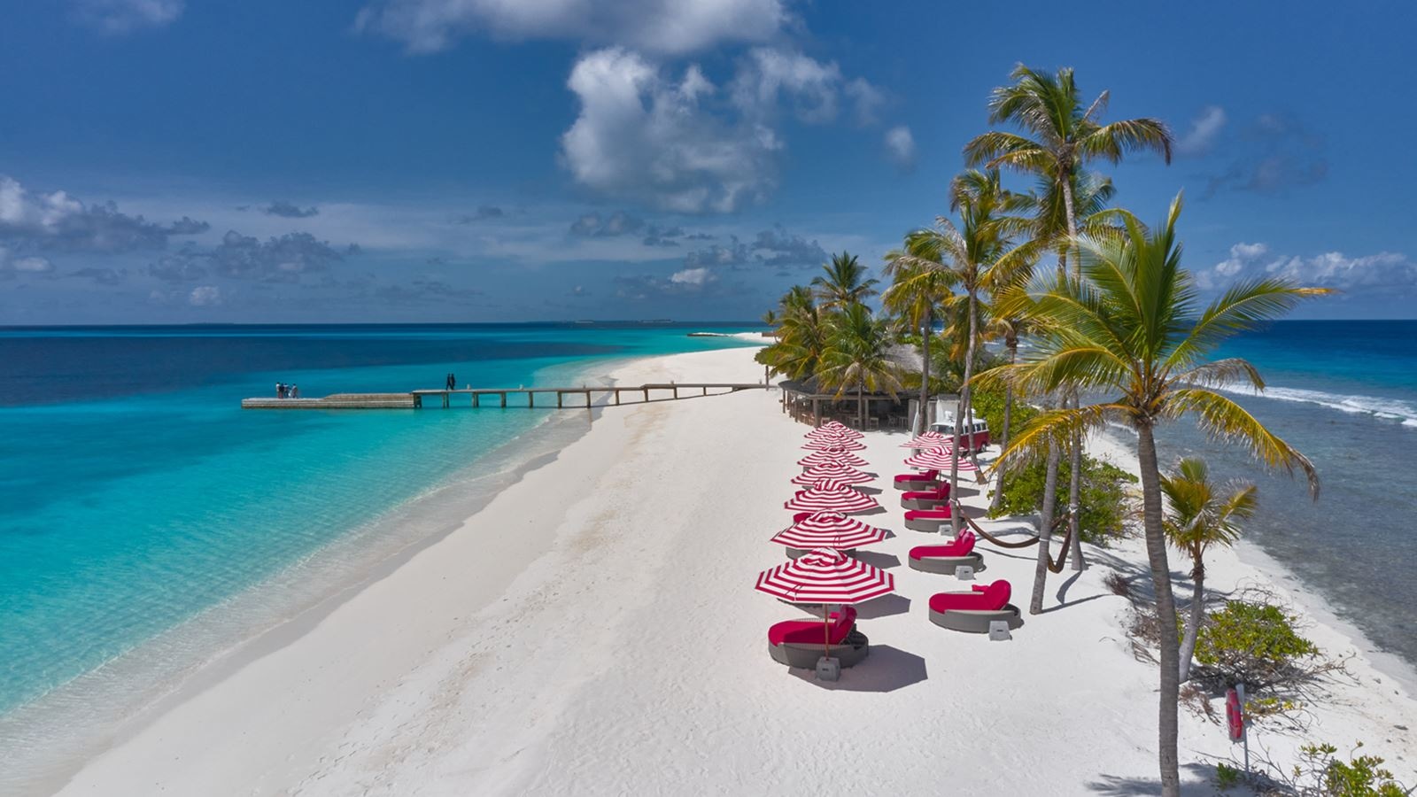 restaurants-crab-shack