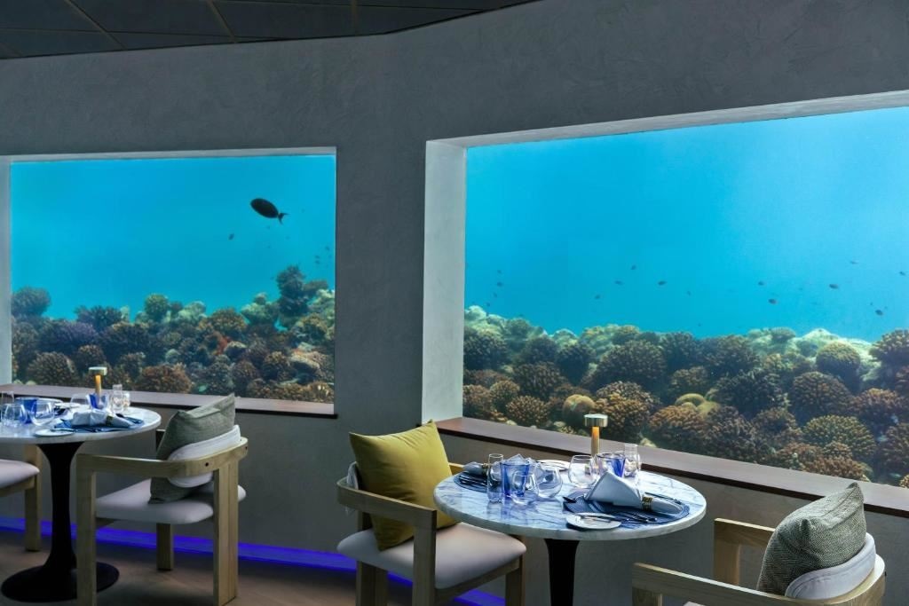 restaurants-only-blu-under-ocean-restaurant