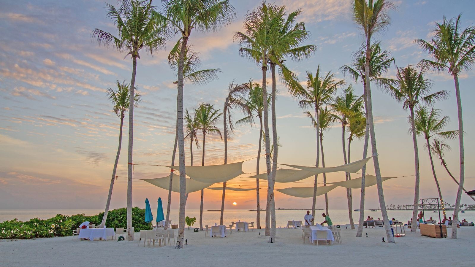 restaurants-palm-beach