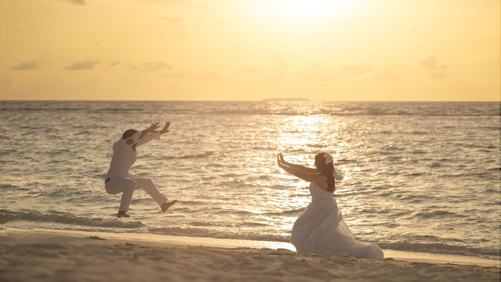 animation-main-building