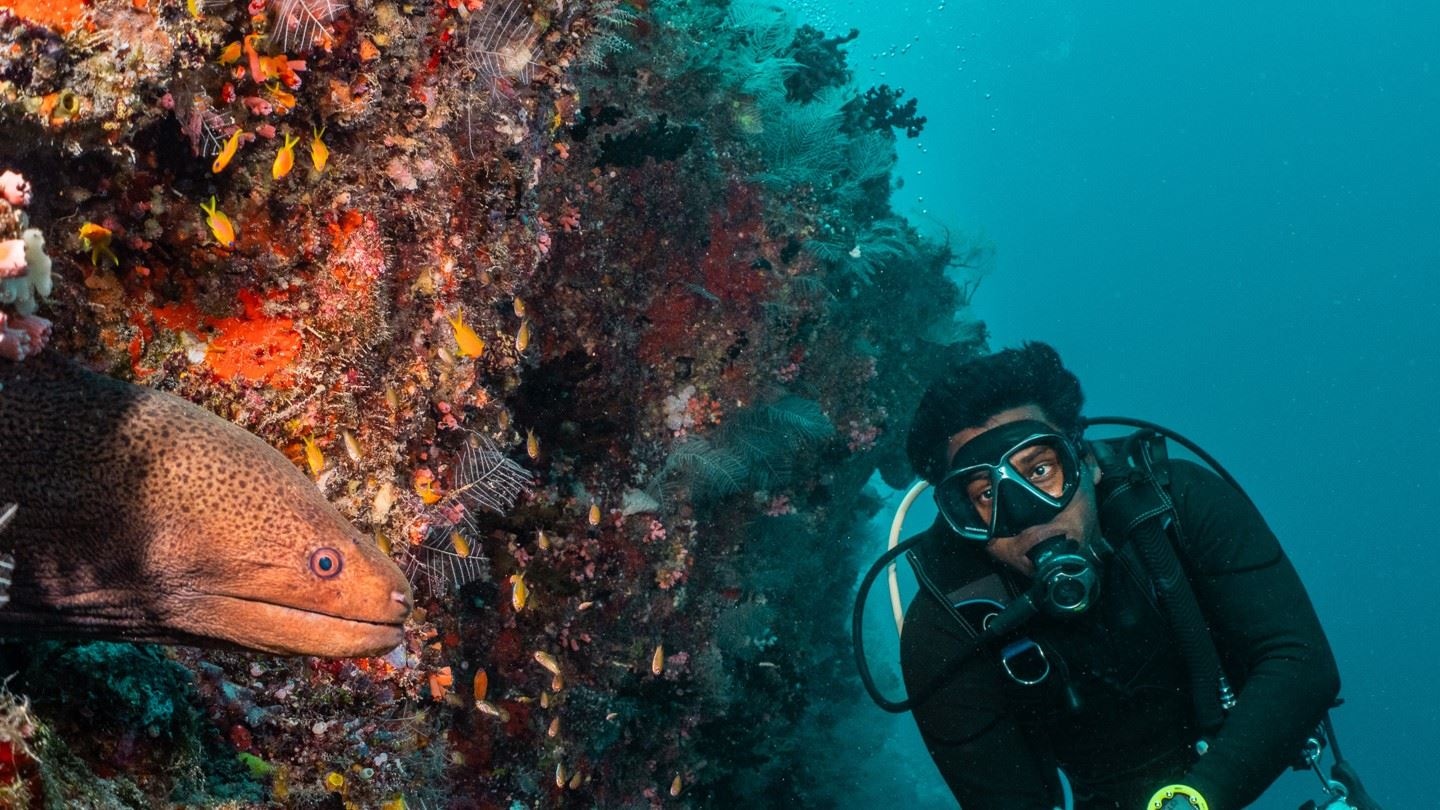 animation-main-building