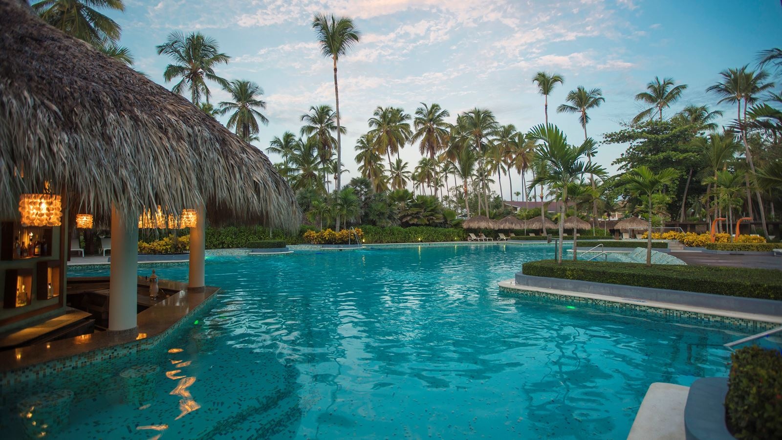 bars-swim-up-barahona