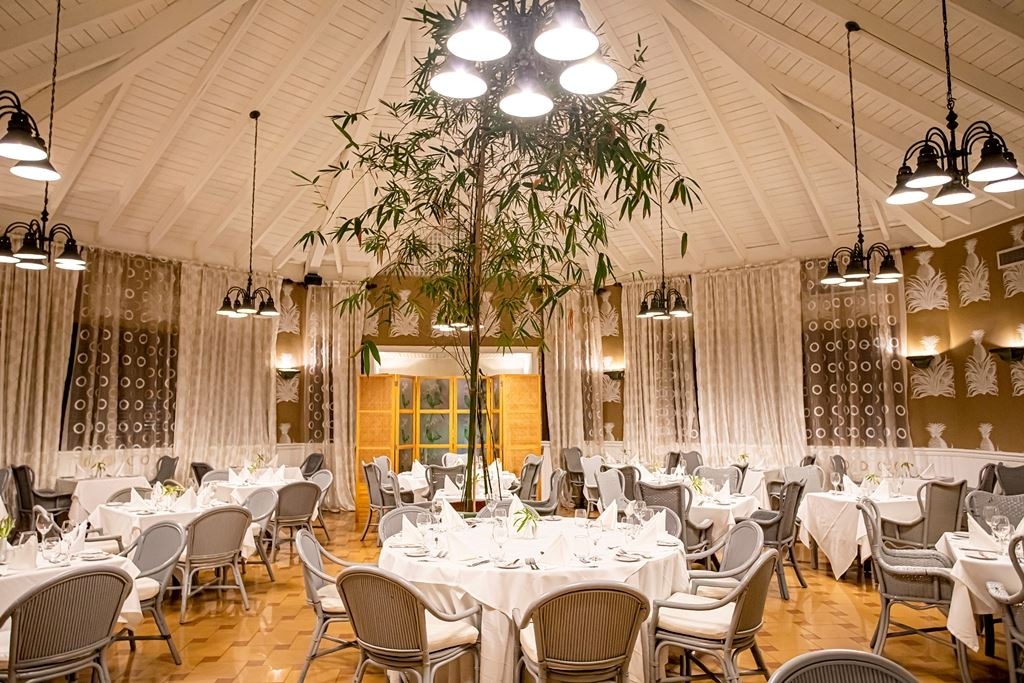 restaurants-o-c-t-o-p-u-s-r-e-s-t-