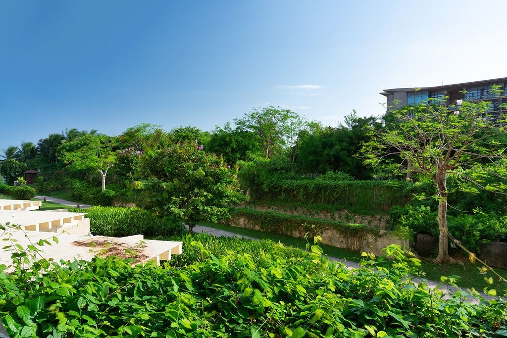 rooms-forest-fun-room-area-2