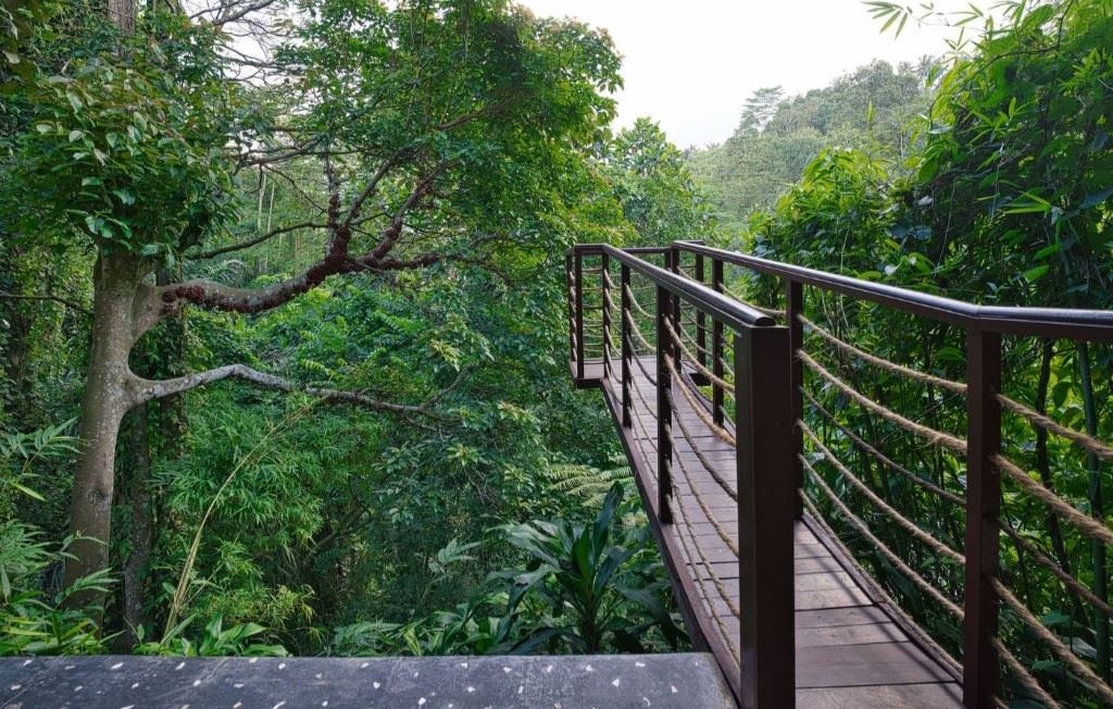 rooms-royal-spa-suite